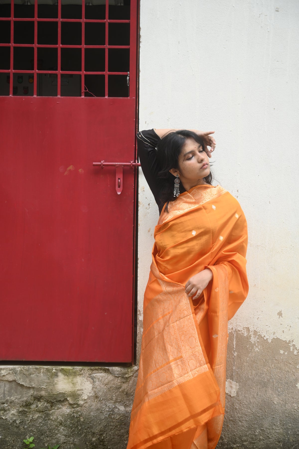 Saree 4