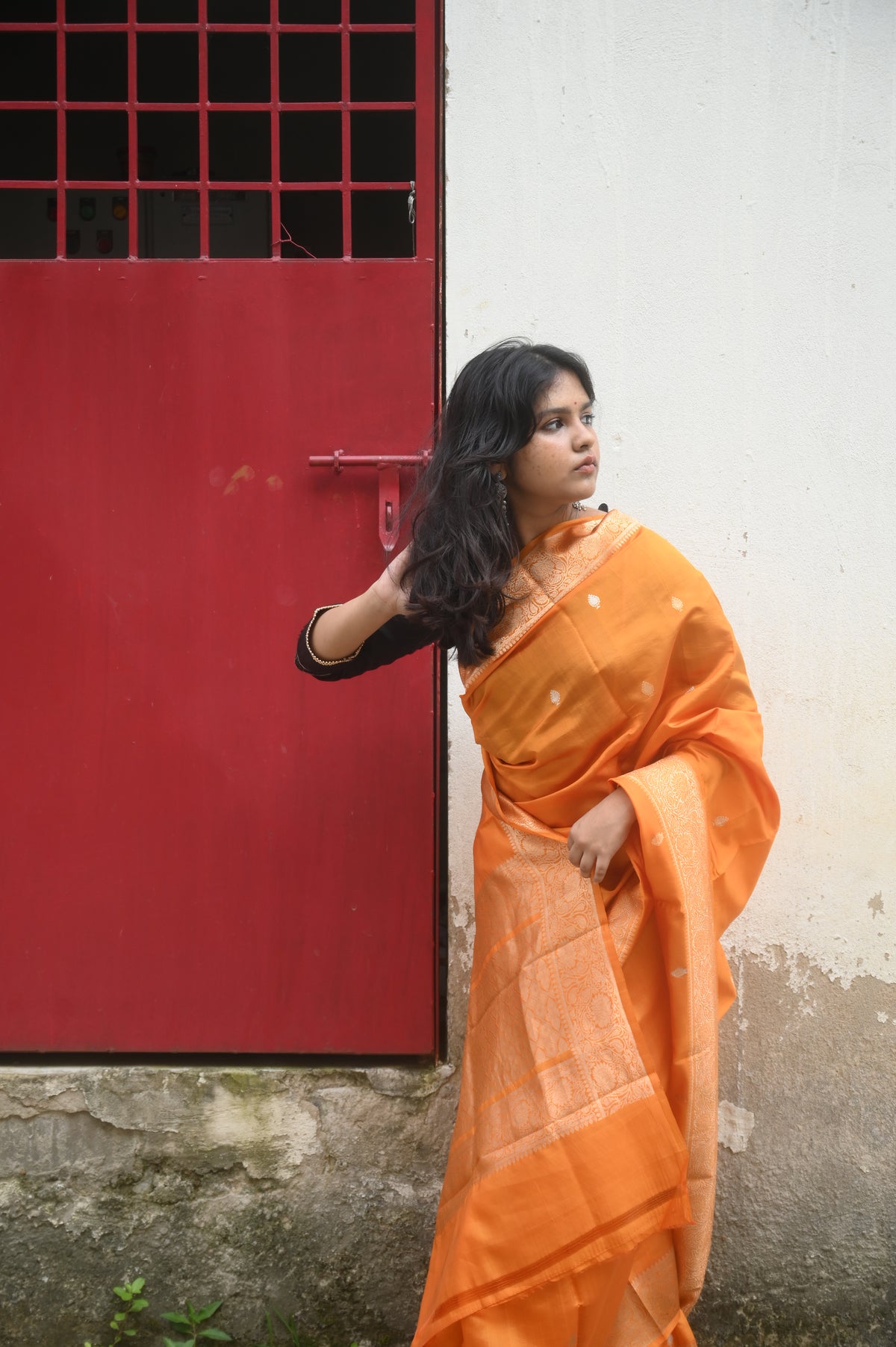 Saree 4