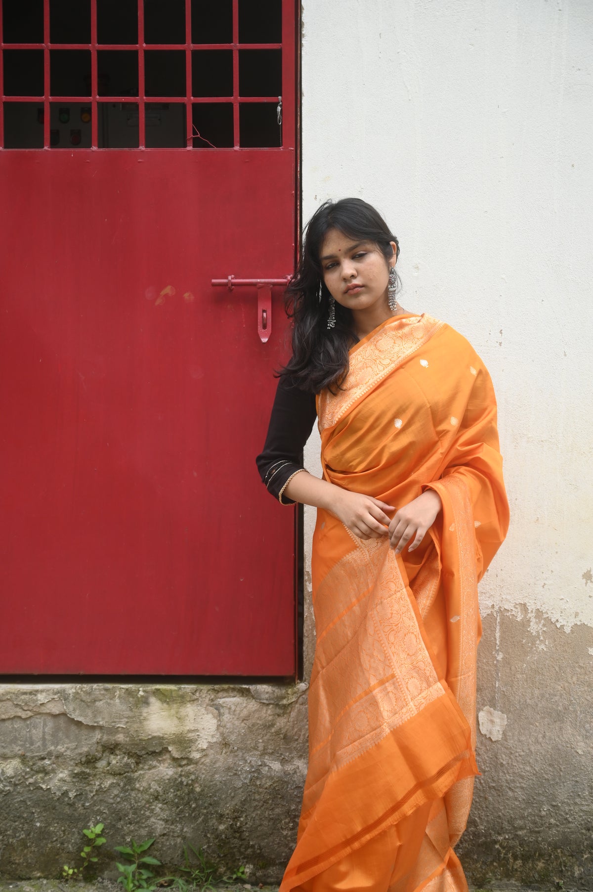 Saree 4