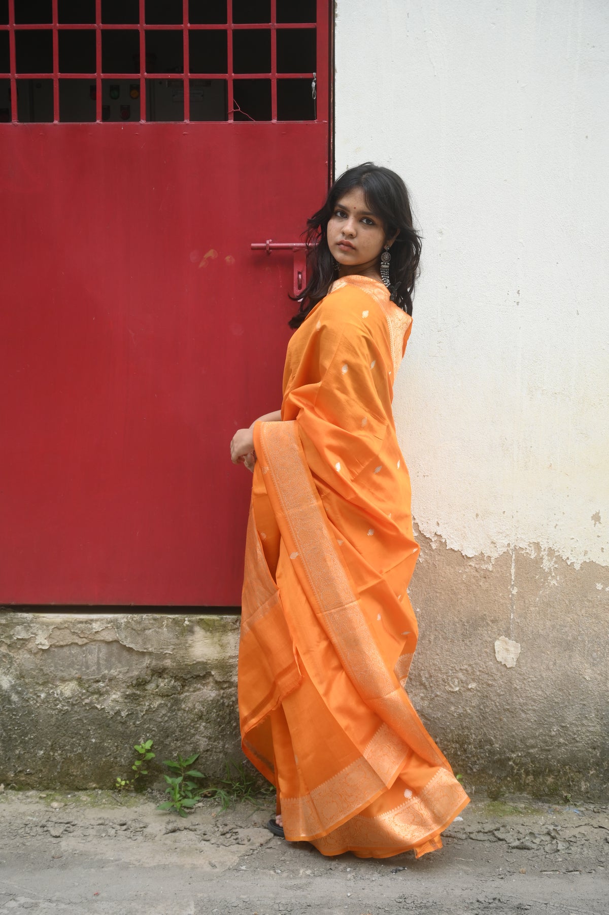 Saree 4