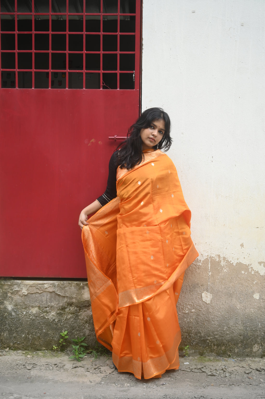 Saree 4