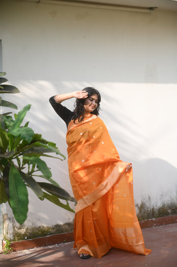Saree 4