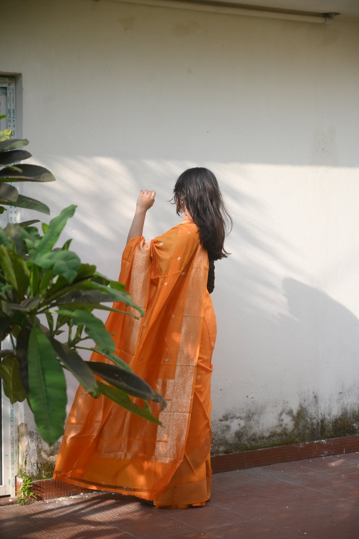 Saree 4